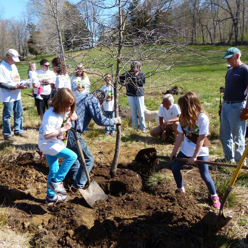 Essex Town Park & Recreation Department