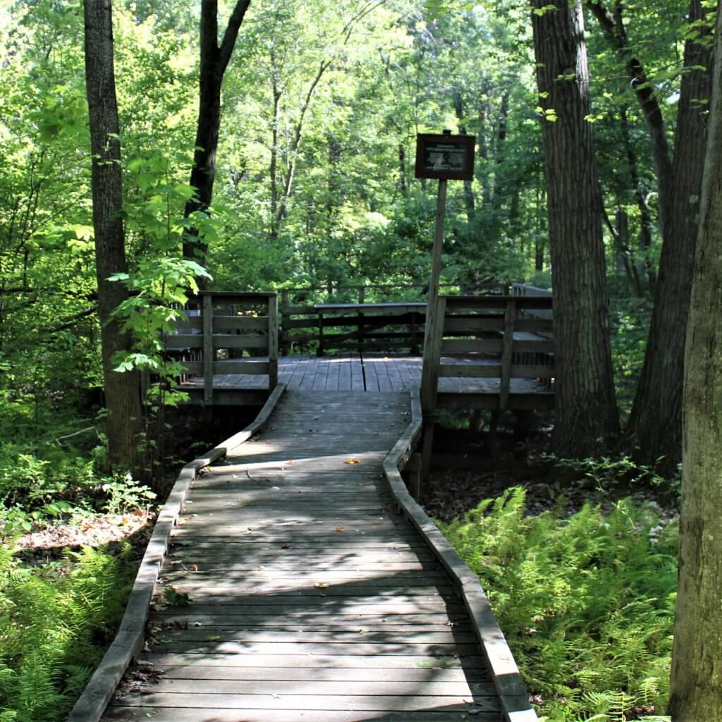 Connecticut Forest and Park