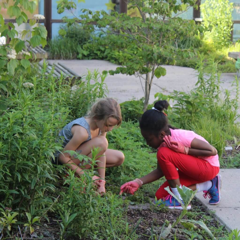 Van Buren Moody Elementary School