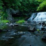 robin-andreoli-wadsworth_falls-1