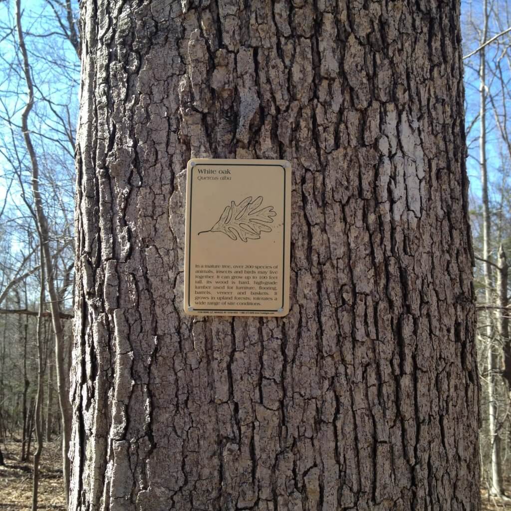 Indian Hill Cemetery Association