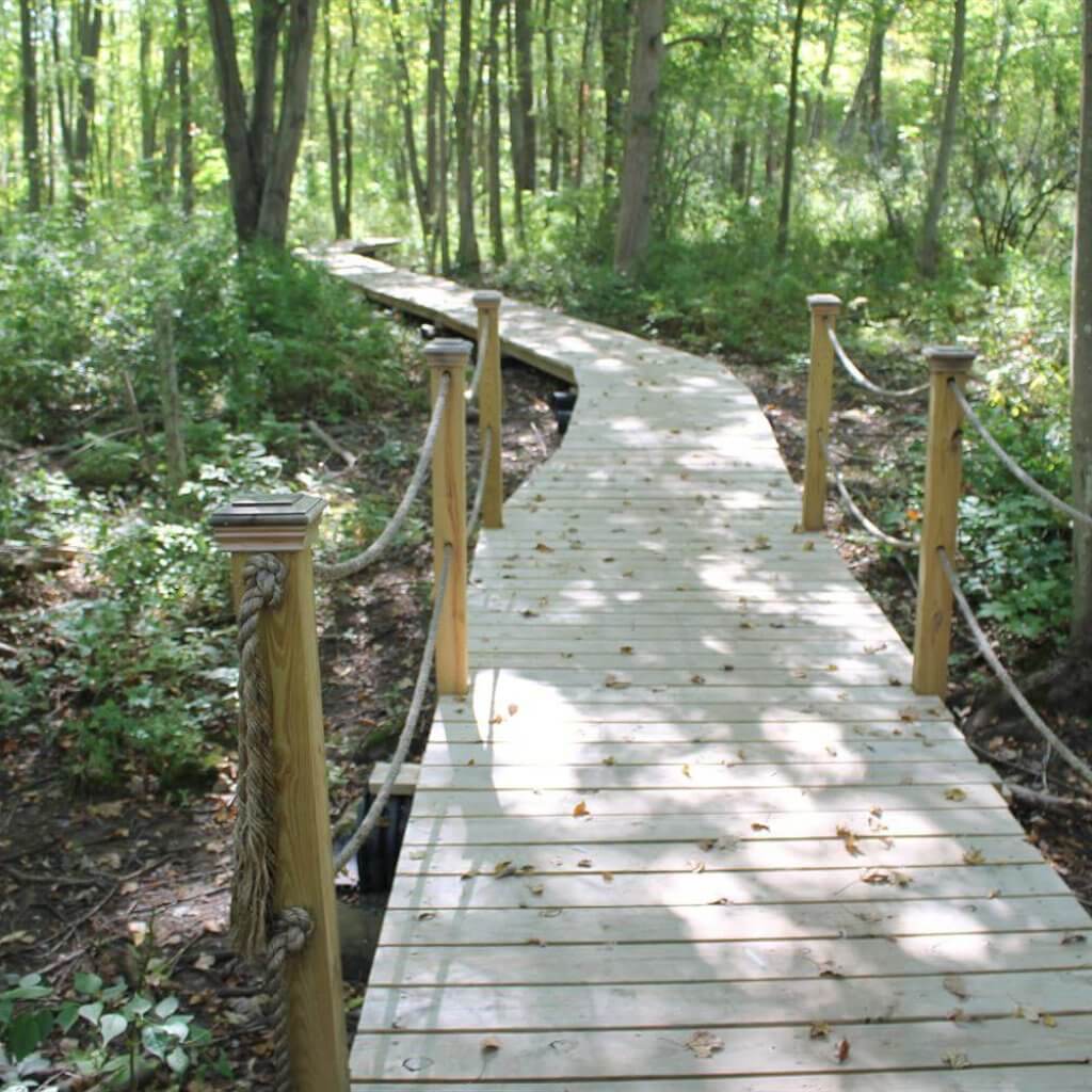 Independent Day School