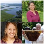 photos of the 4 award winners