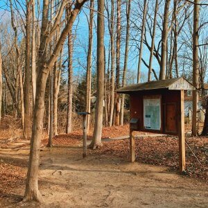 1 Canfield-Meadow Woods Route 154 Trailhead