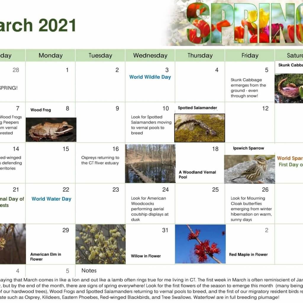 Nature Calendar - The Rockfall Foundation