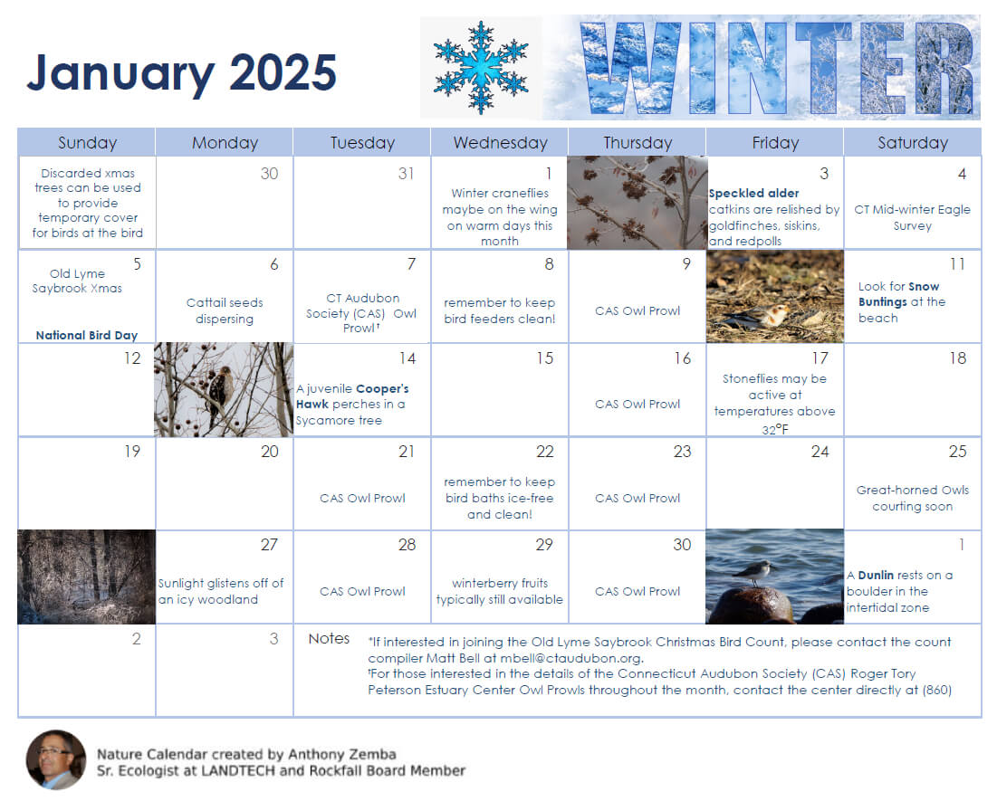 January 2025 Nature Calendar