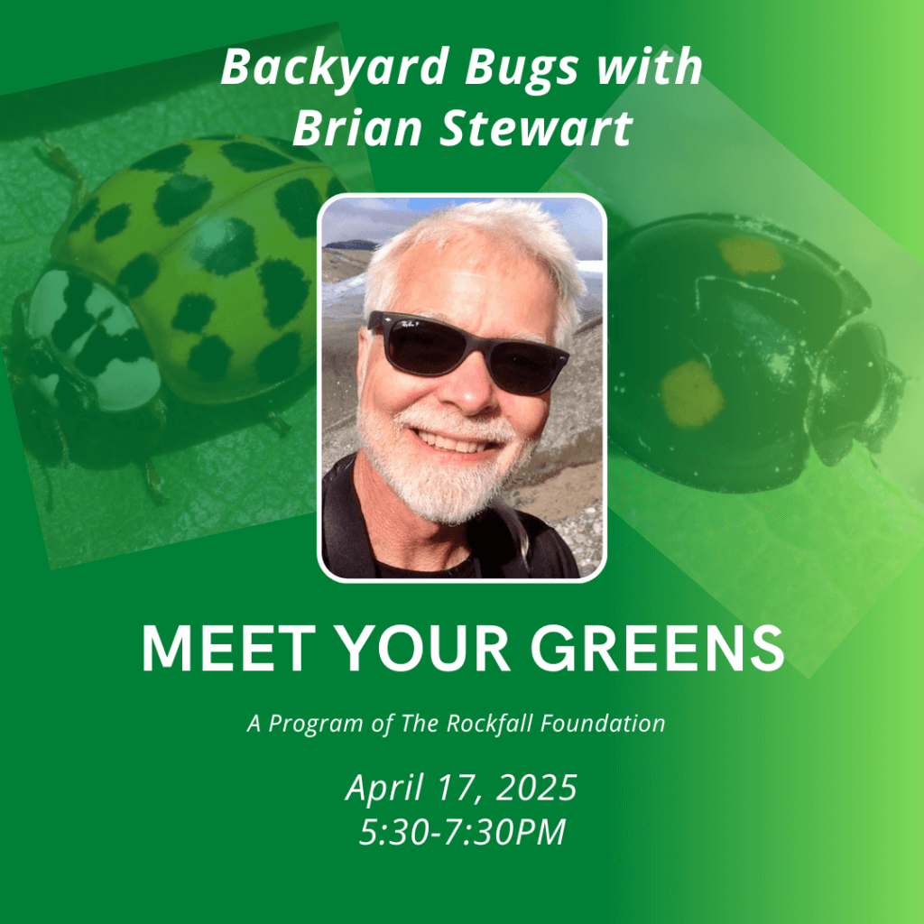 Meet Your Greens: Backyard Bugs with Brian Stewart - The Rockfall ...