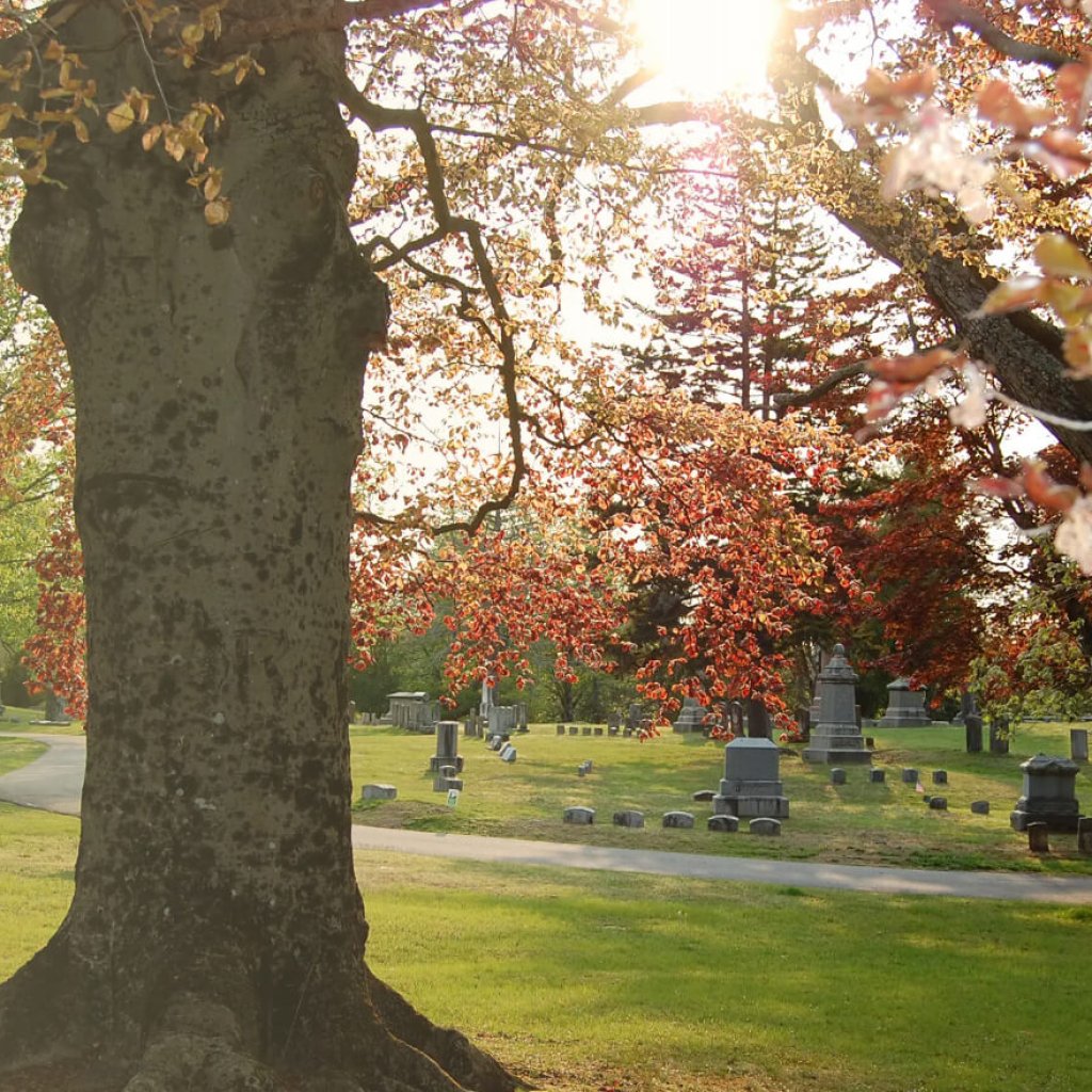 Fountain Hill Cemetery Association
