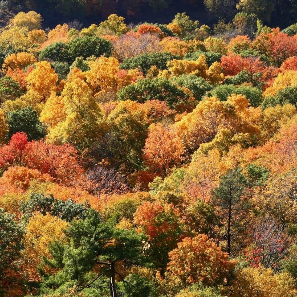 See what The Rockfall Foundation has going on in October in our latest e-news.