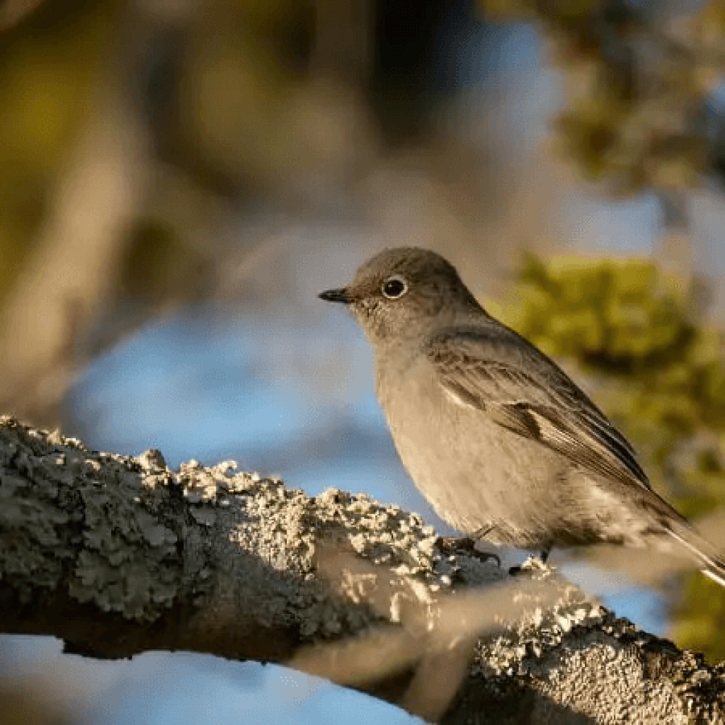 See what The Rockfall Foundation has going on in November in our latest e-news.