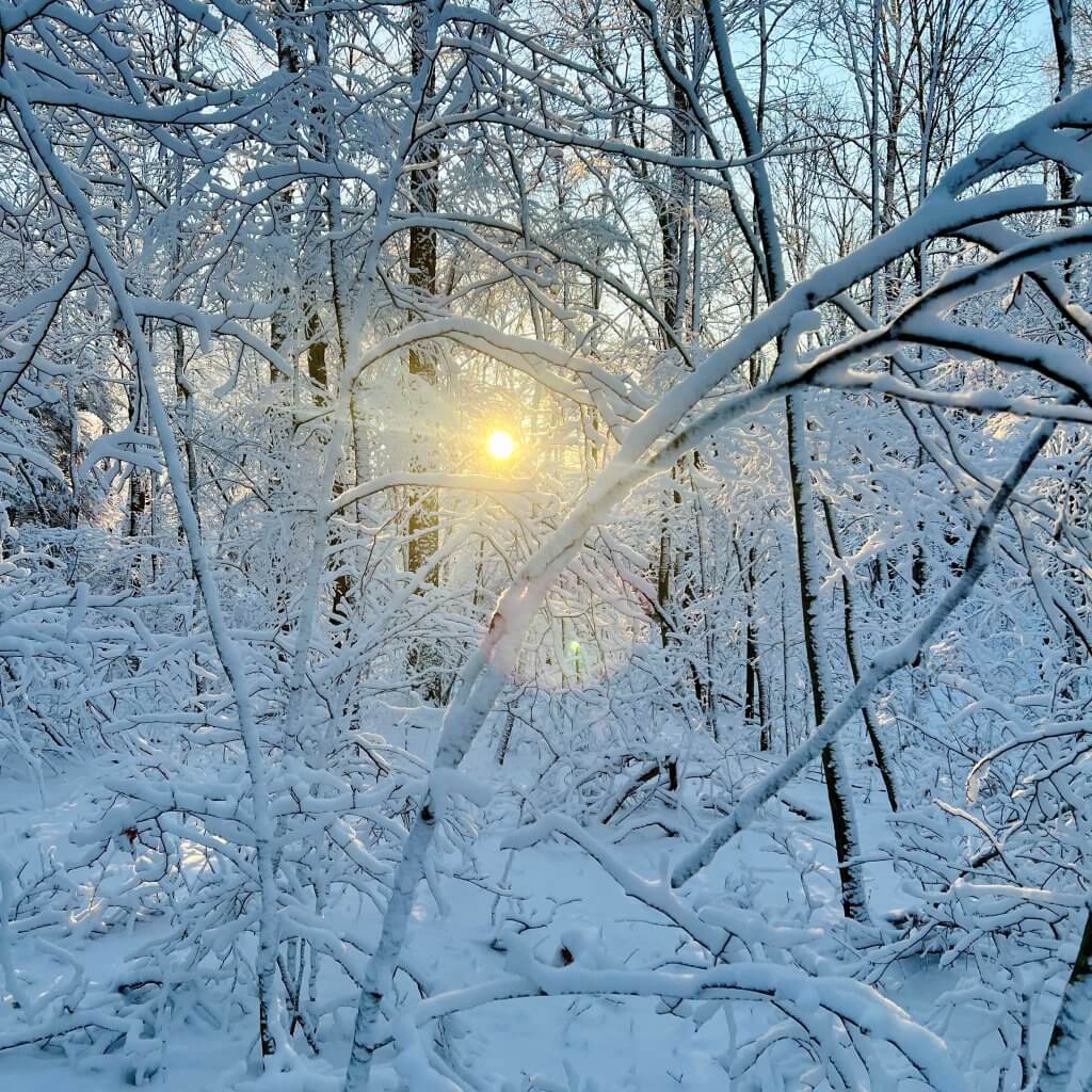 February 2026 E-News