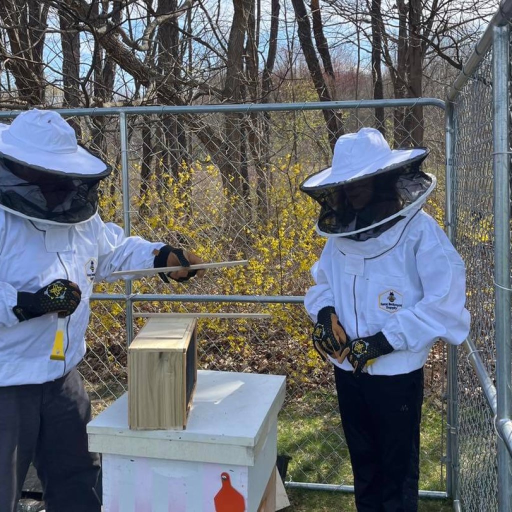 Independent Day School