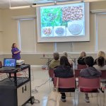 The 3 Foragers Edible Plants and Fungi presentation